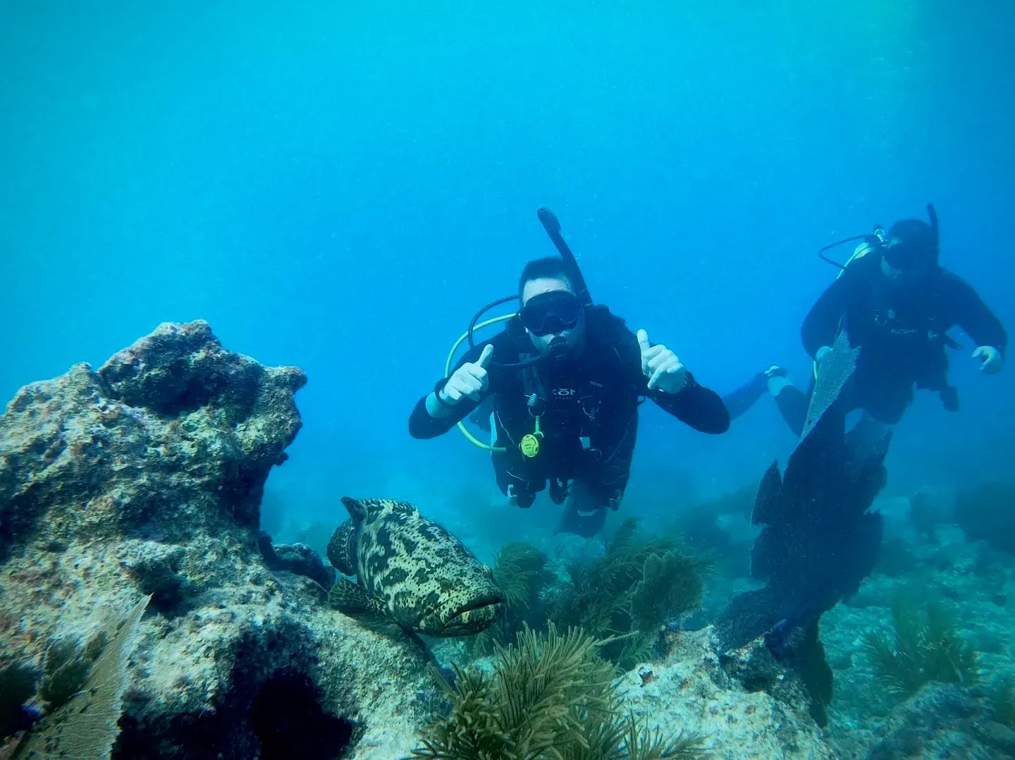 What Is Scuba Diving? A Complete Beginner FAQ Guide