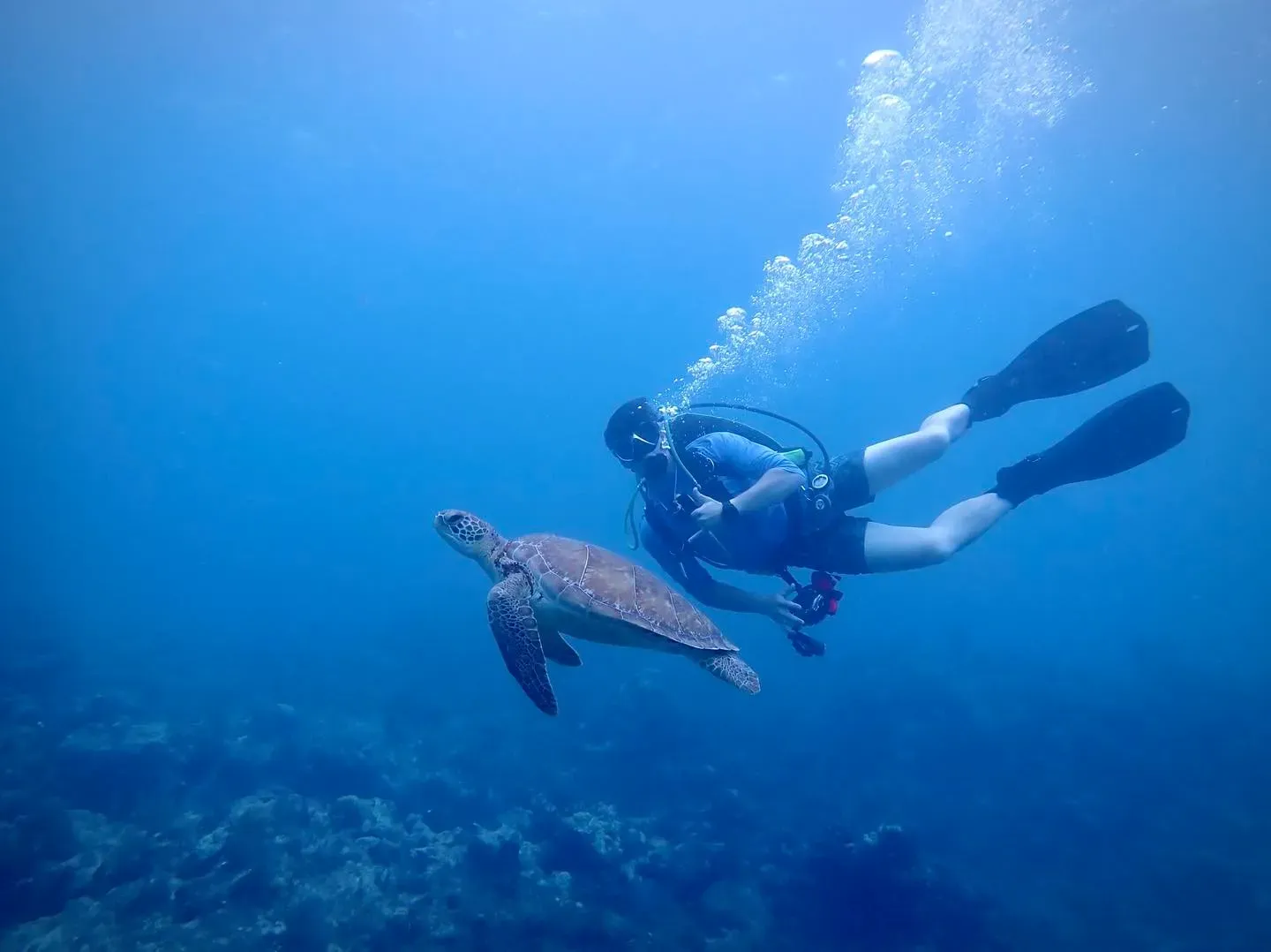 The History of the Rainbow Reef Area and Diving in Key Largo