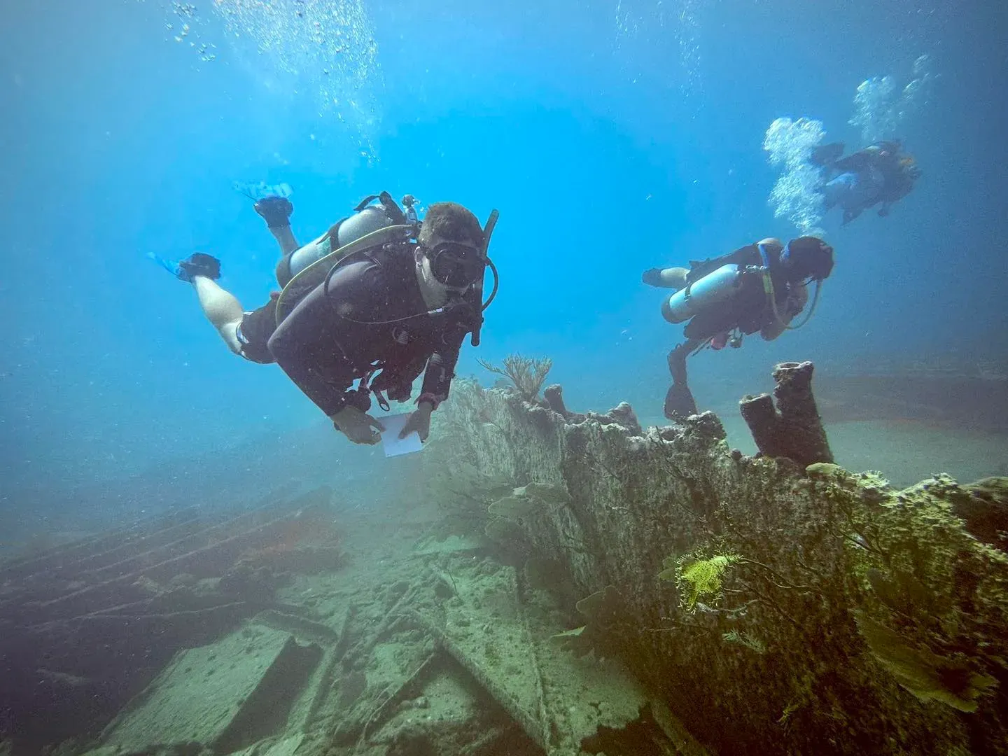 John Pennekamp Scuba Diving: What to Know Before You Dive at Pennekamp Park