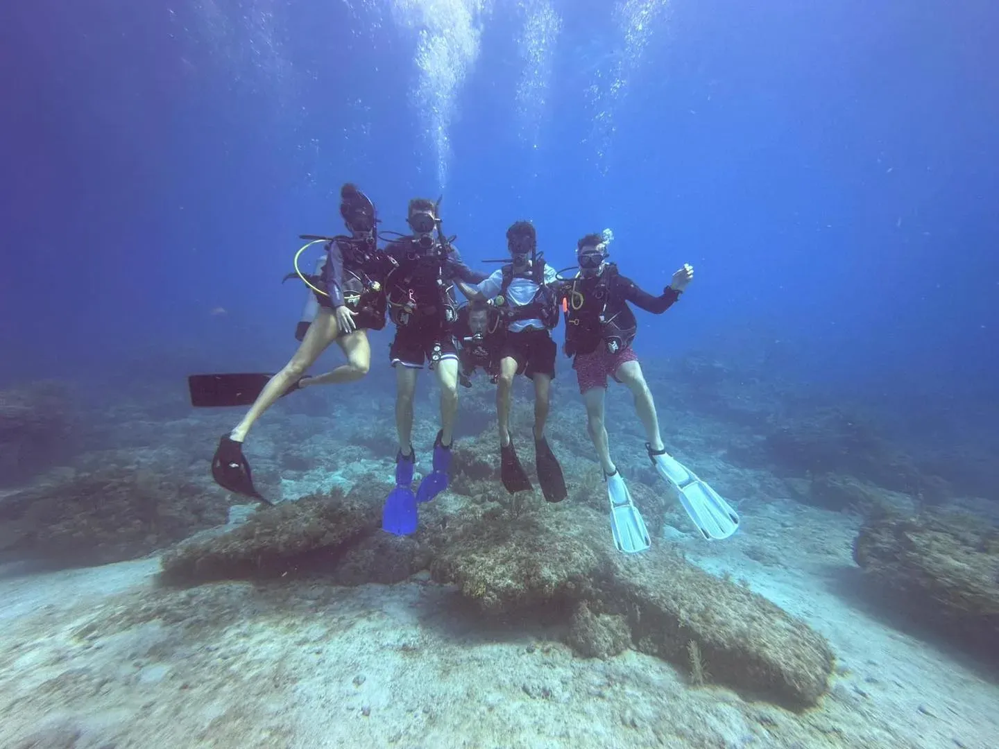 John Pennekamp Snorkeling: Reef Spots, What to Expect & Planning Tips