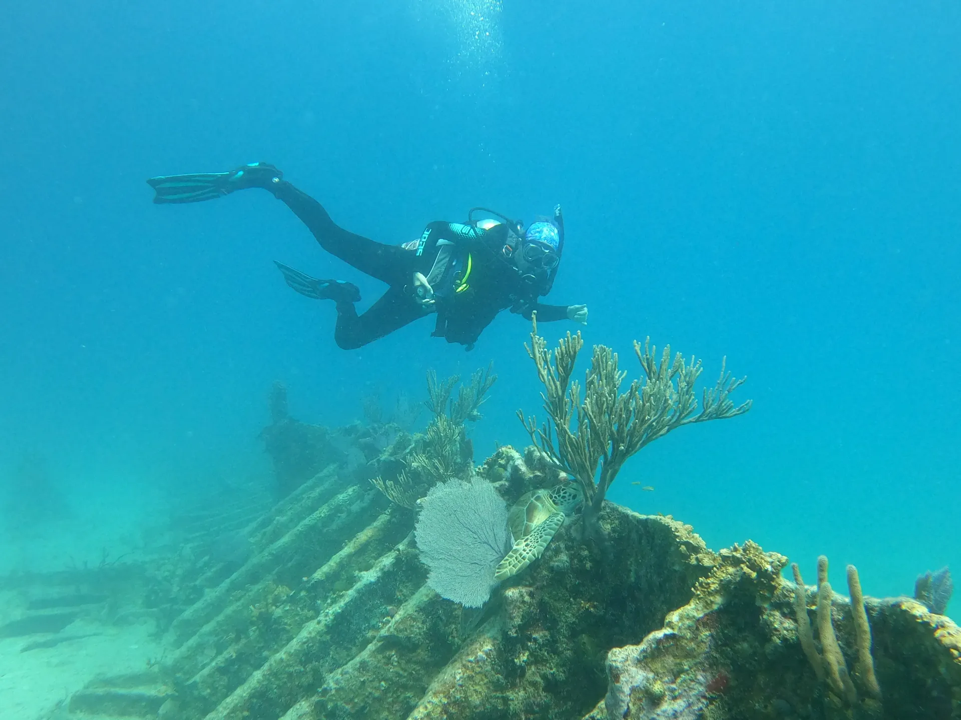 Why Hurricane Season in the Florida Keys is the Best Time to Visit